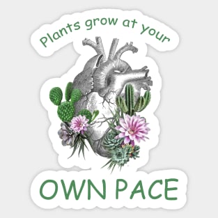 Succulents plant lovers, human heart, Plants lovers, plants grow at your own pace Sticker